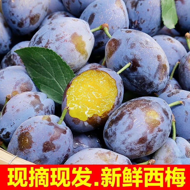 新鲜现摘大西梅鲜果正宗西梅西梅李酸甜可口1