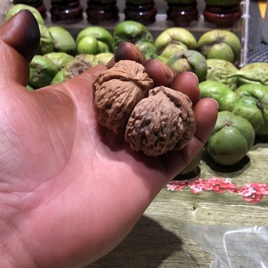 吊坠桃核核桃核桃