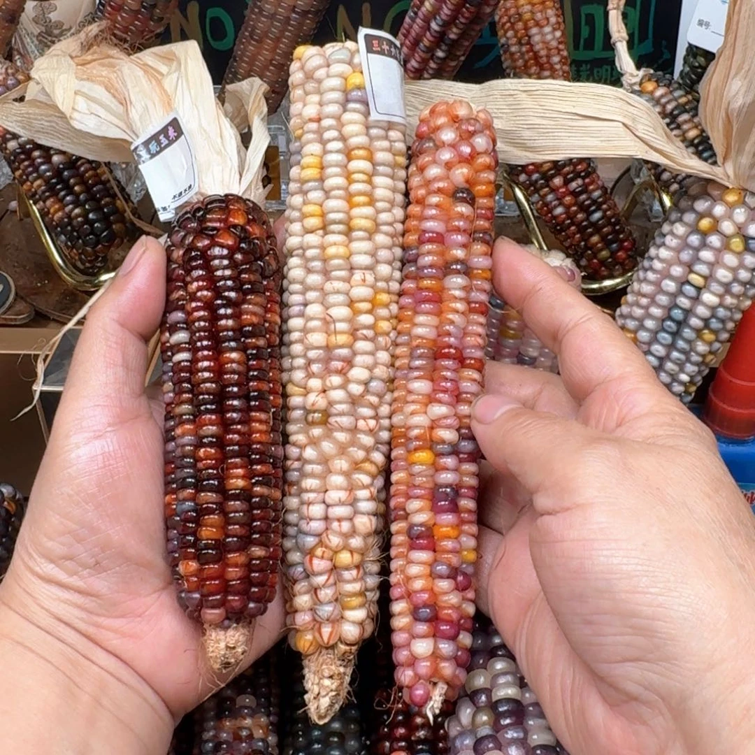 柏香籽/百香籽吊坠四*