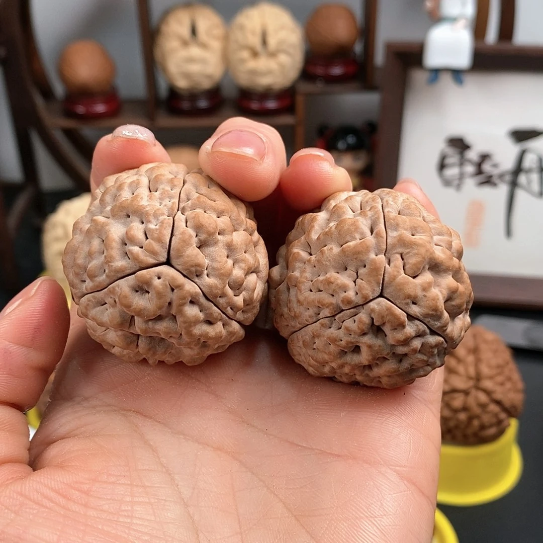 文玩核桃把件三瓣脑纹金刚小爆肉4246