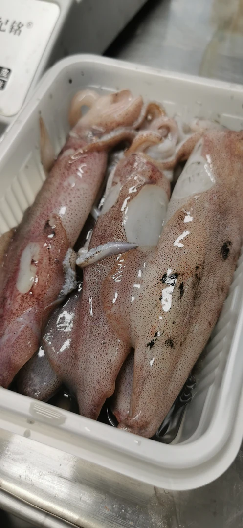 鱿鱼顺丰冷链包邮