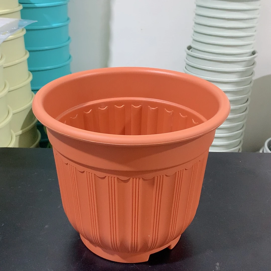 树脂罗马口21红4个无托