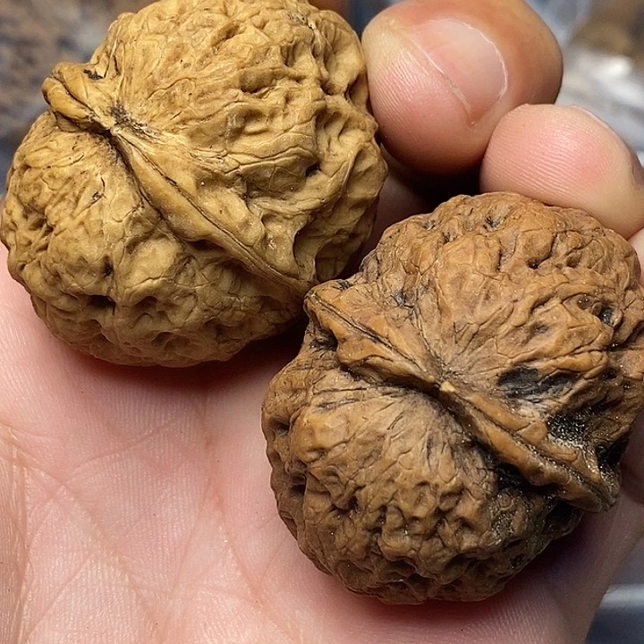 文玩核桃把件云南铁核桃34