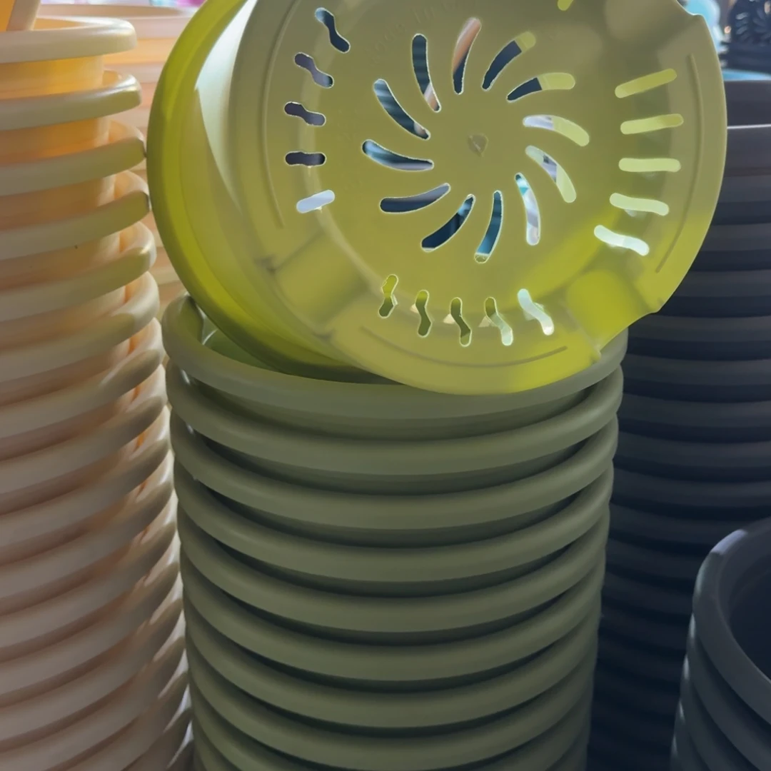 四季6号5个果绿色口径32高28