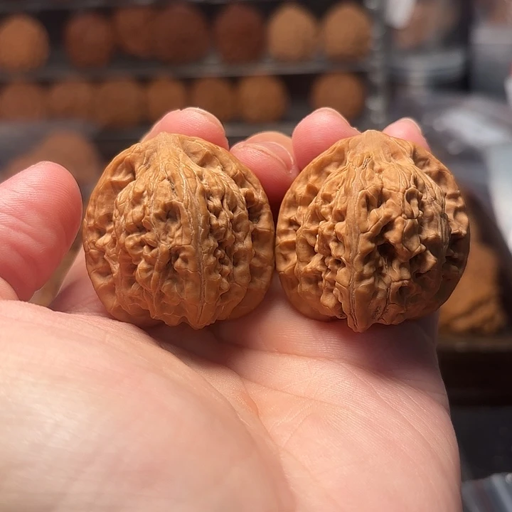 1文玩核桃一代望月38-374