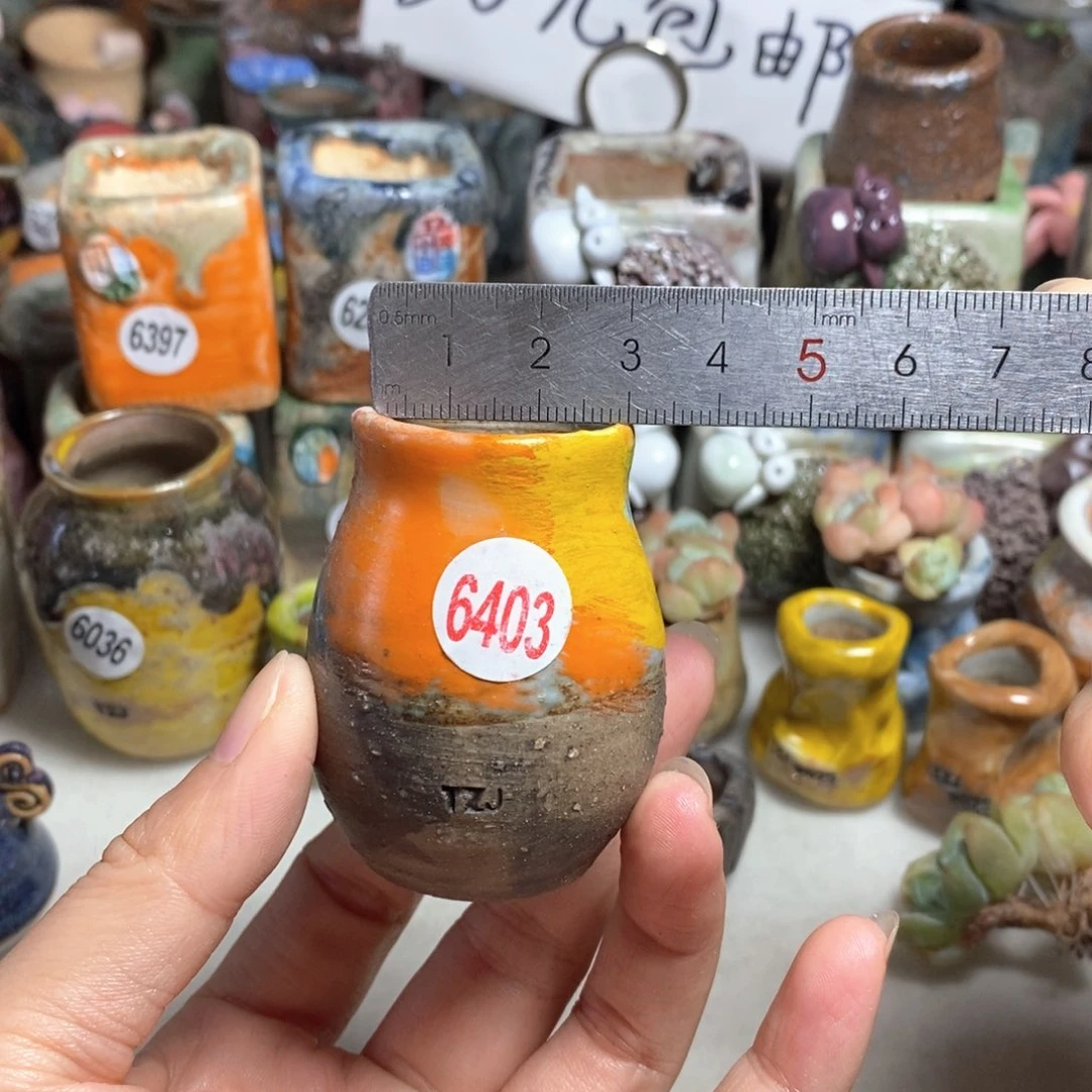 拍5送一个小礼物