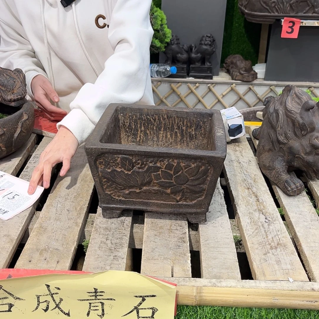 复合盆景艺术的设计师B2-006