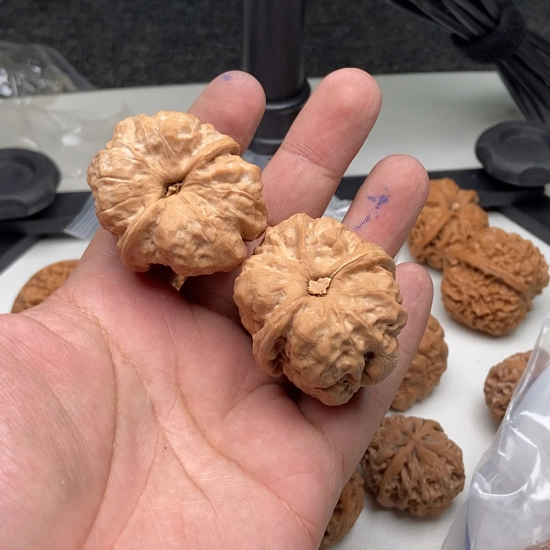 核桃手串/手链禾*你的世界就在