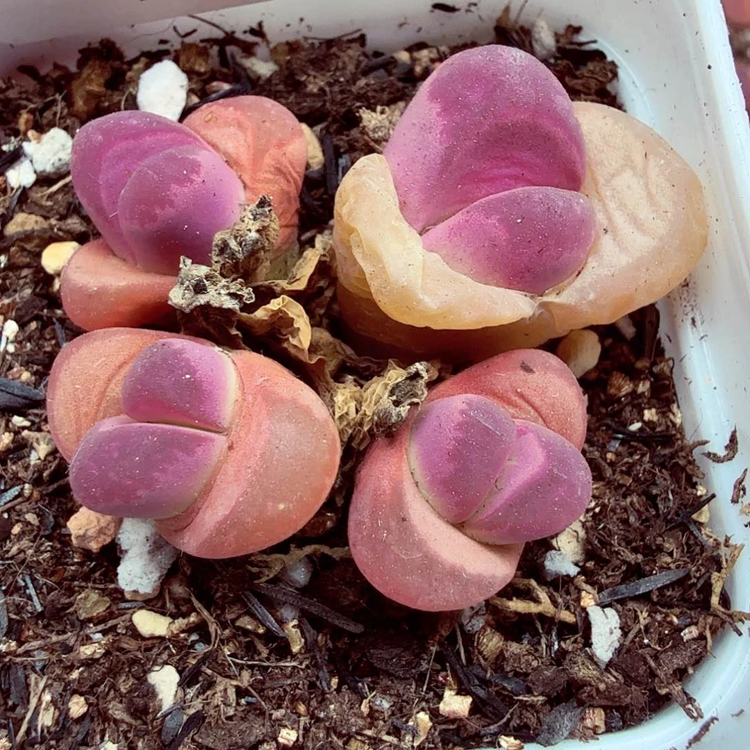 我就去看看她家门口557