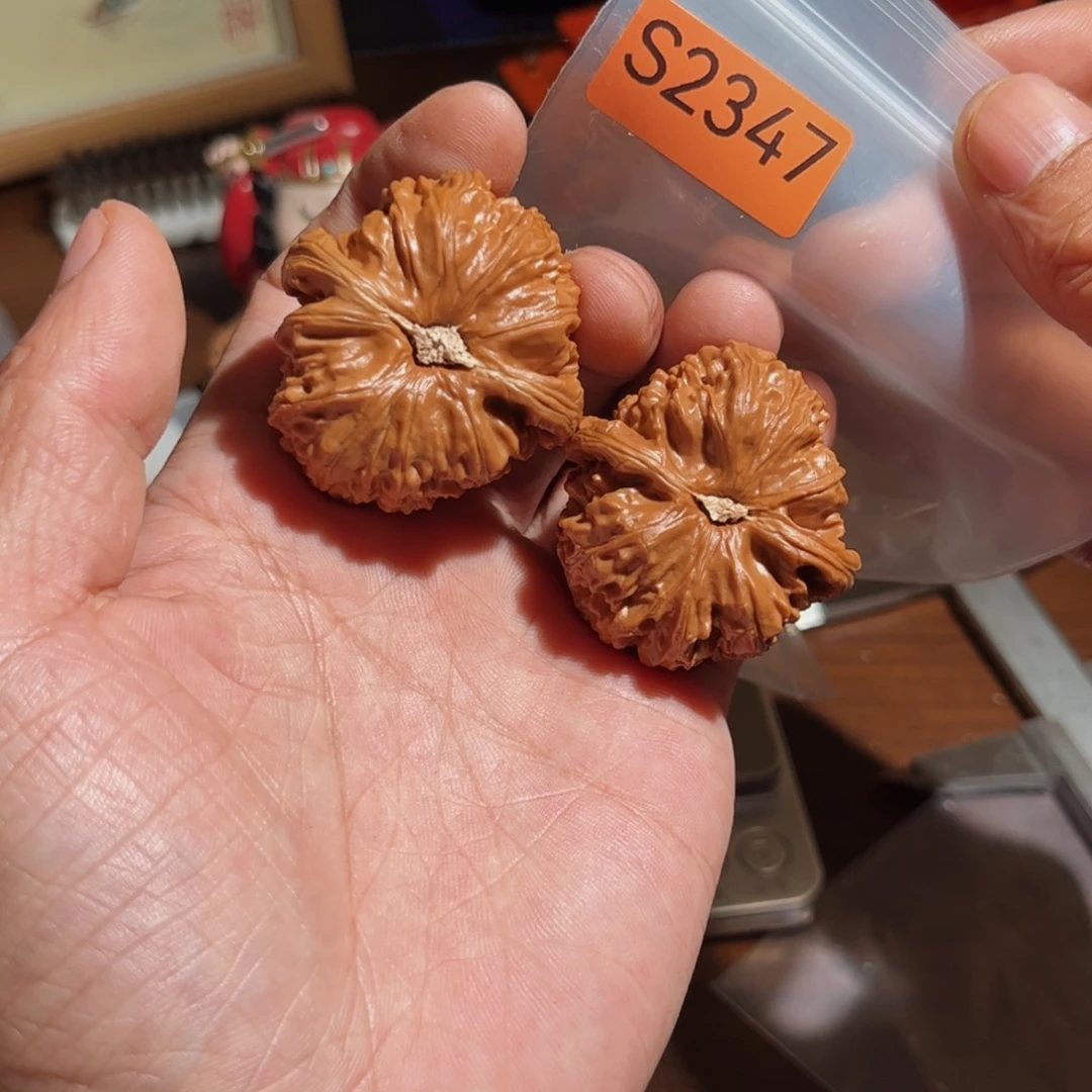 文玩核桃把件三角白