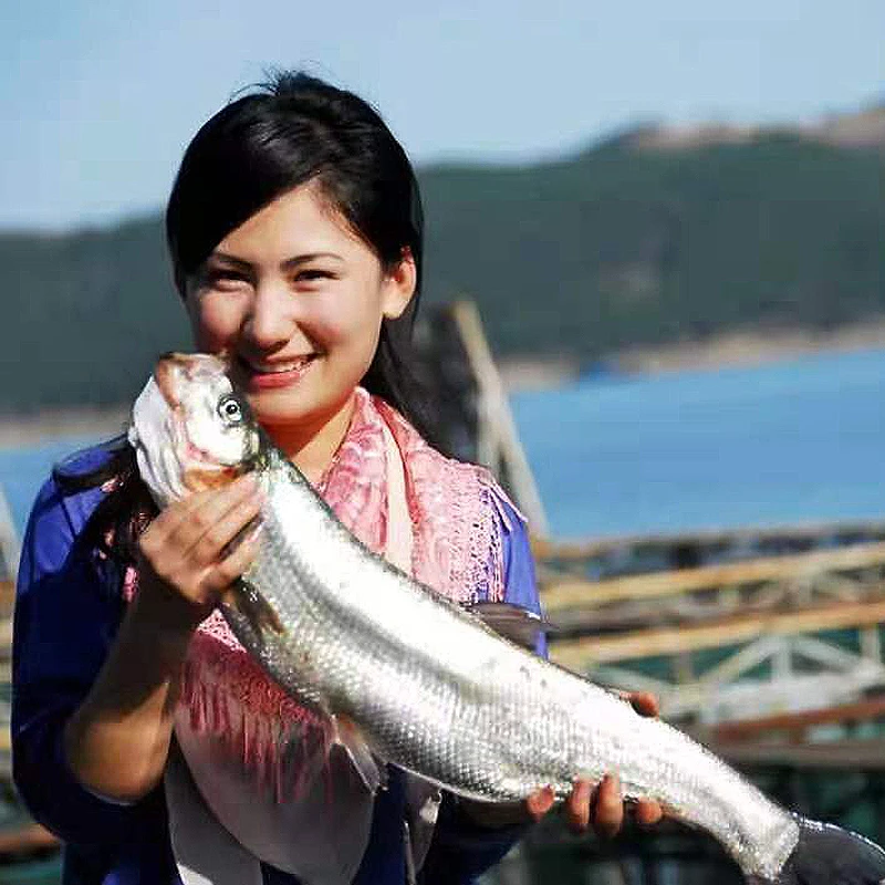 湖北十堰南水北调库区米及翘嘴鱼武当山老闵钓场筏钓路亚活鱼现杀