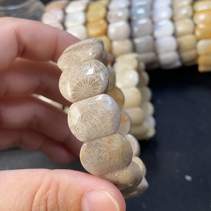未镶嵌手链硅化珊瑚（珊瑚玉）