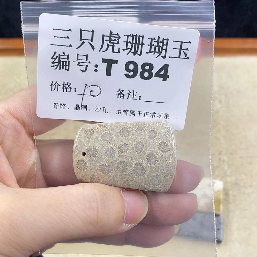 硅化珊瑚（珊瑚玉）1未镶嵌石*