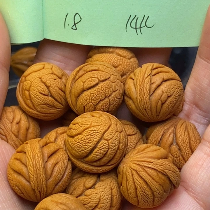 桃核吊坠秦岭龙纹桃核18