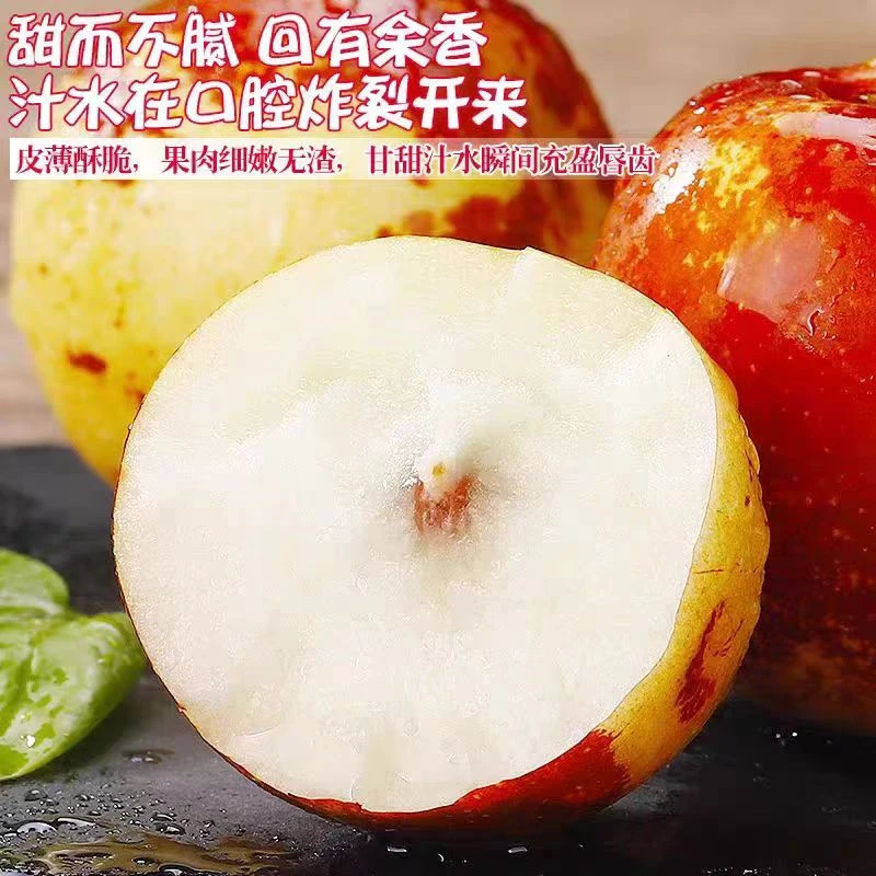 山西庙上原产地种植/新鲜成熟食用冰糖冬枣/皮薄肉厚脆甜多汁