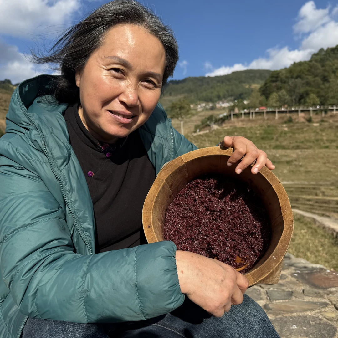 正宗云南普洱墨江紫米  紫糯米  净重500克/袋