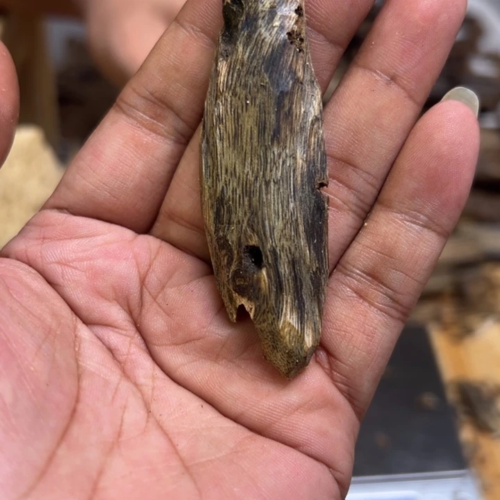 沉香沉香碎屑5.9克