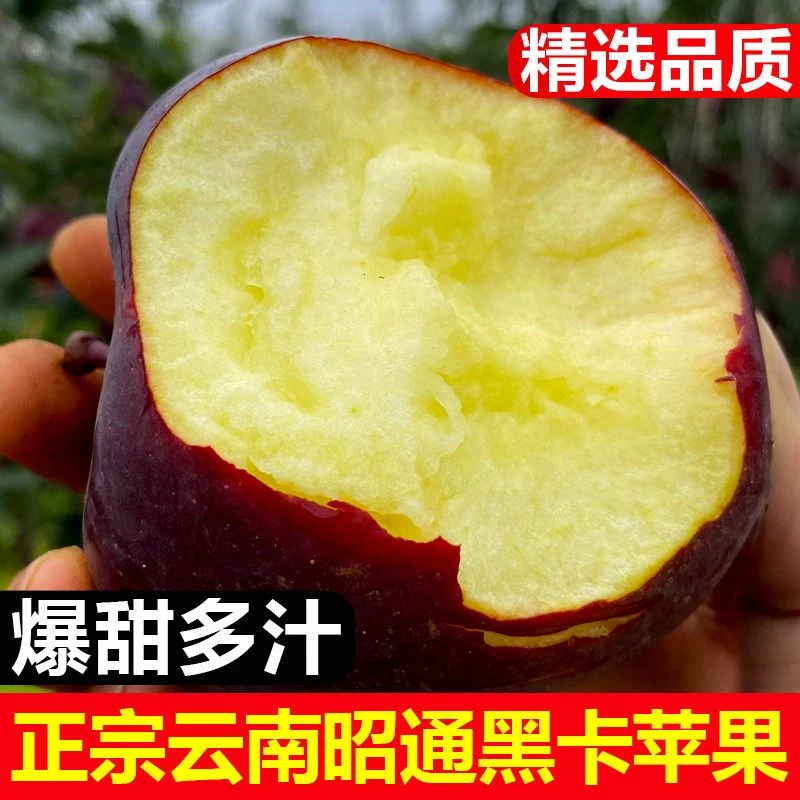 【脆甜多汁】正宗云南昭通黑卡苹果香甜3-9斤细腻现摘现发纯甜多汁