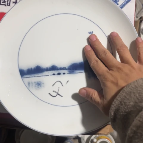 瓷其他10寸盘一个陶瓷