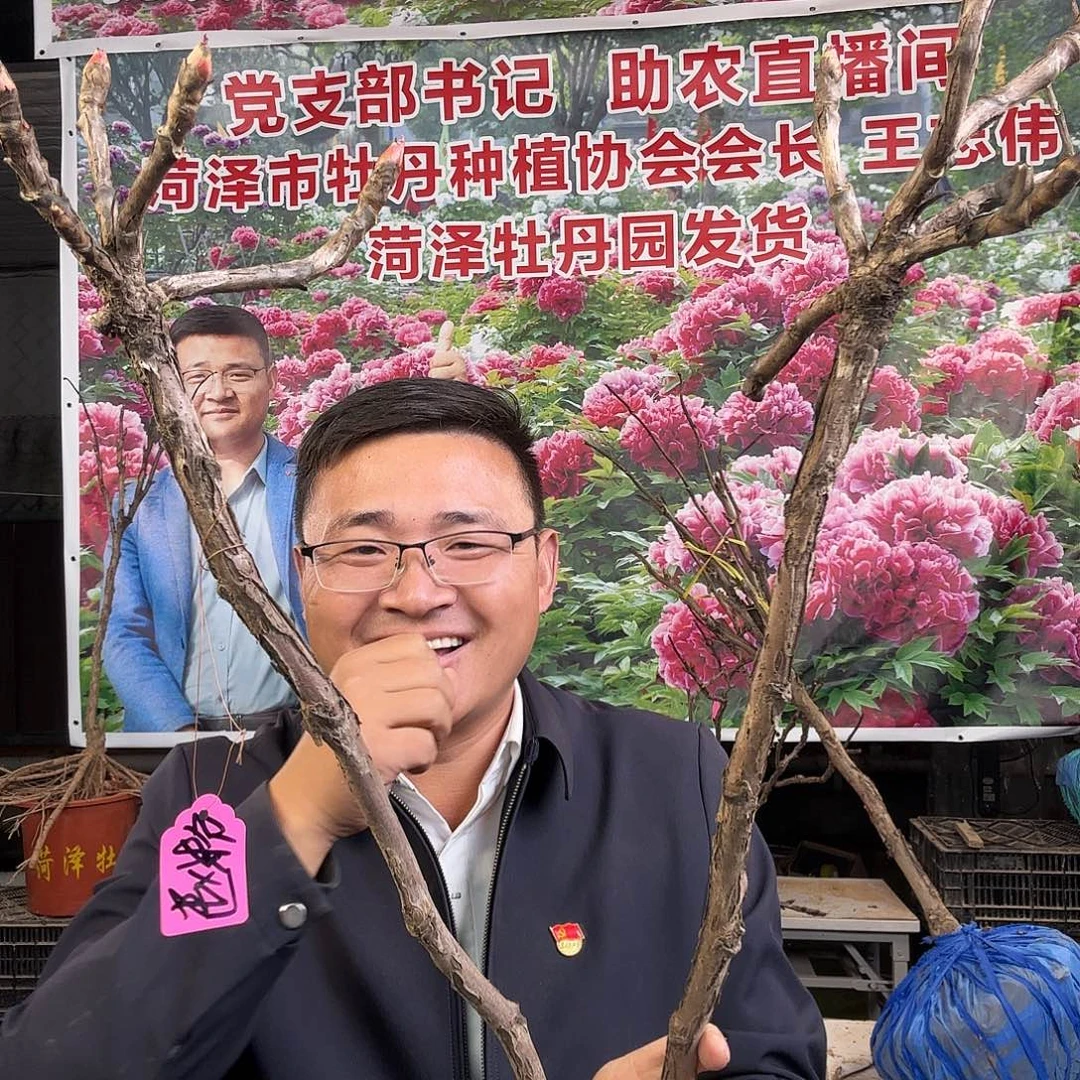 金***晏完全开放赵粉199元