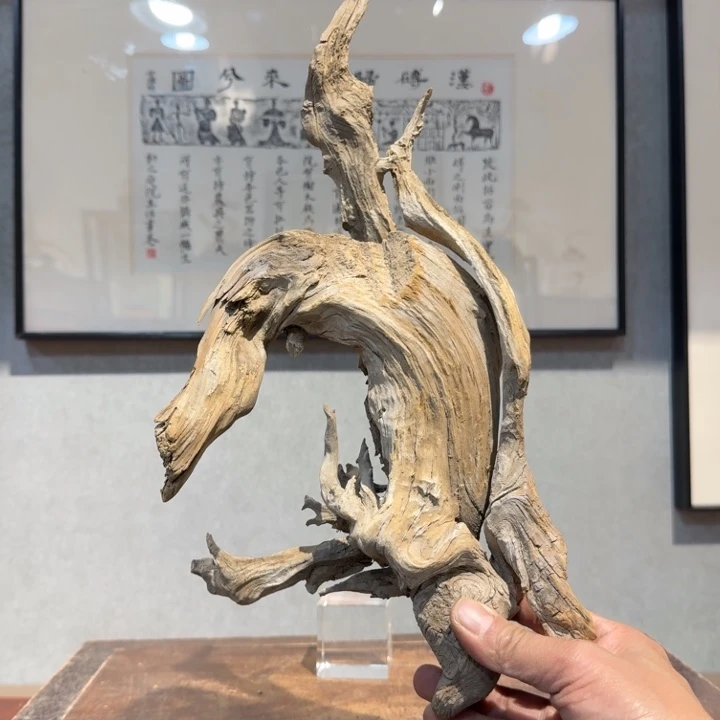 柏木（崖柏）青*崖柏阿啊阿