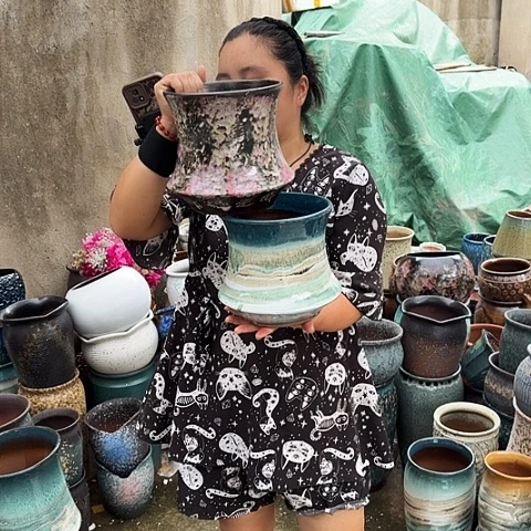 口19高19两个盆子。