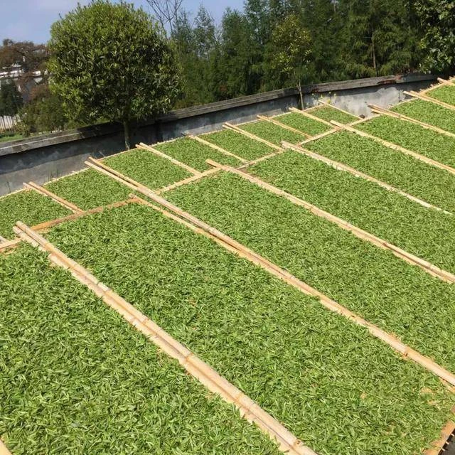 【临时链接】2012年茶籽福鼎白茶150g