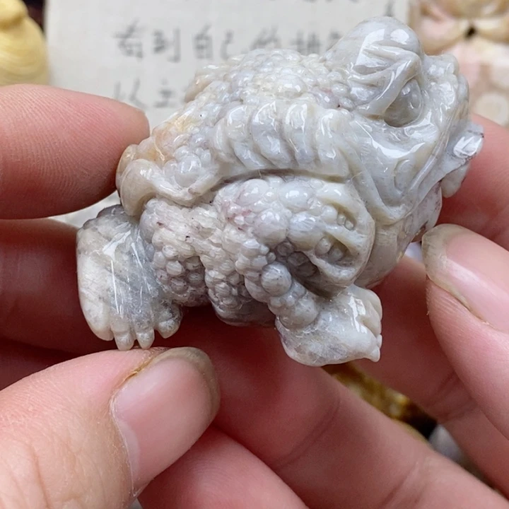 颈饰未镶嵌硅化珊瑚（珊瑚玉）