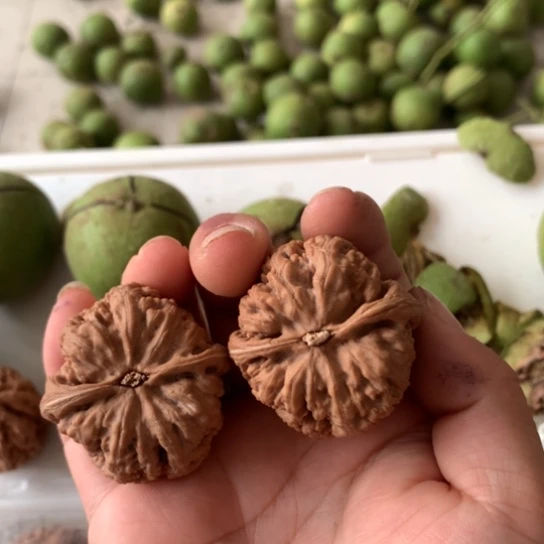 文玩核桃手把件粗筋