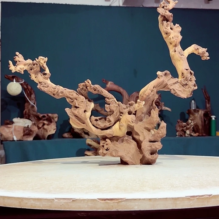 韵***晗木606 金丝红木羊蹄甲半成品有裂痕