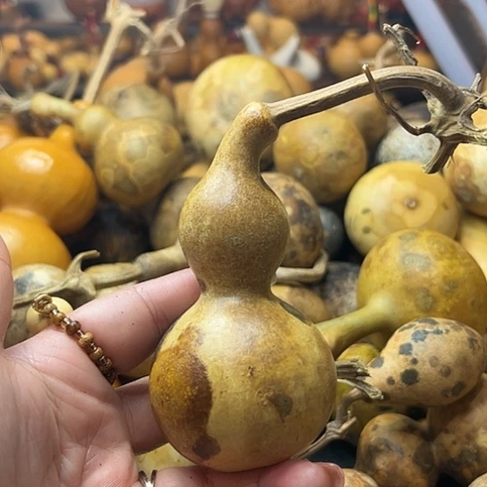 _***@葫芦葫芦葫芦葫芦