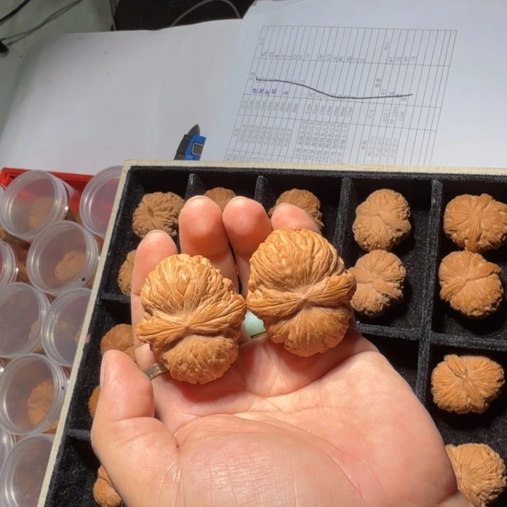 把件文玩核桃156号45mm精修平谷元宝