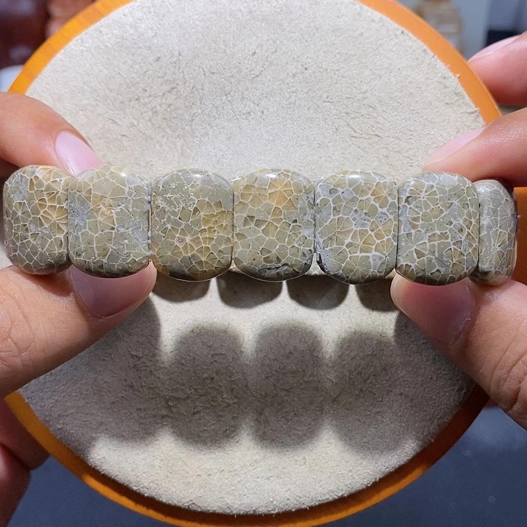 硅化珊瑚（珊瑚玉）手串未镶嵌绿色万花筒10