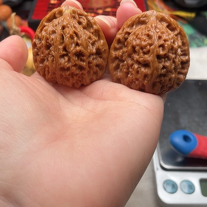 40-39三角 精打底有黄脖