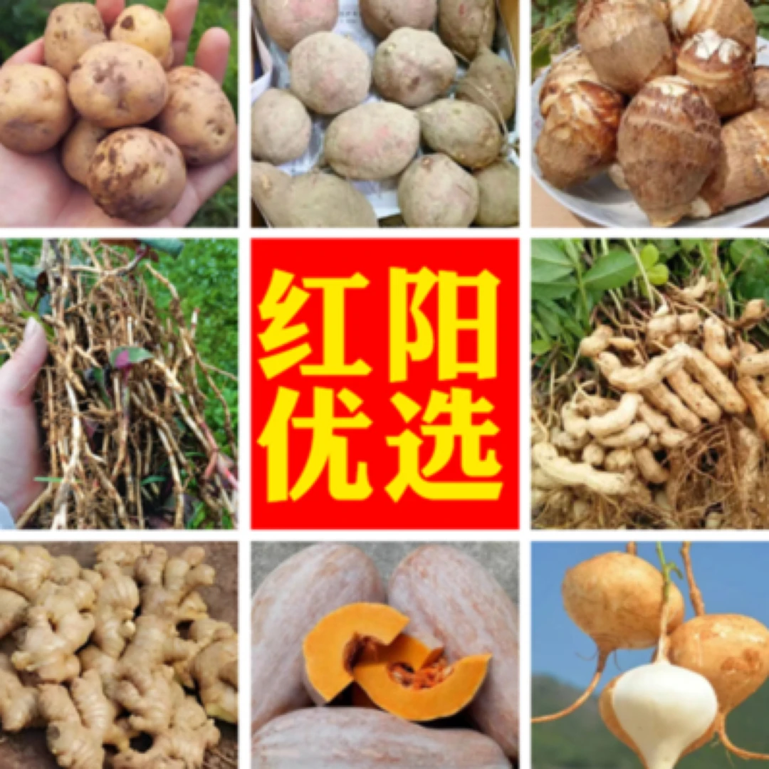 红阳优选农村赶集农产品专拍