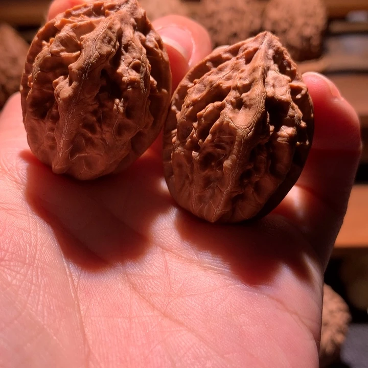 文玩核桃吊坠楸玥核98