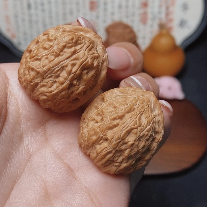 29全品小众金蝉子