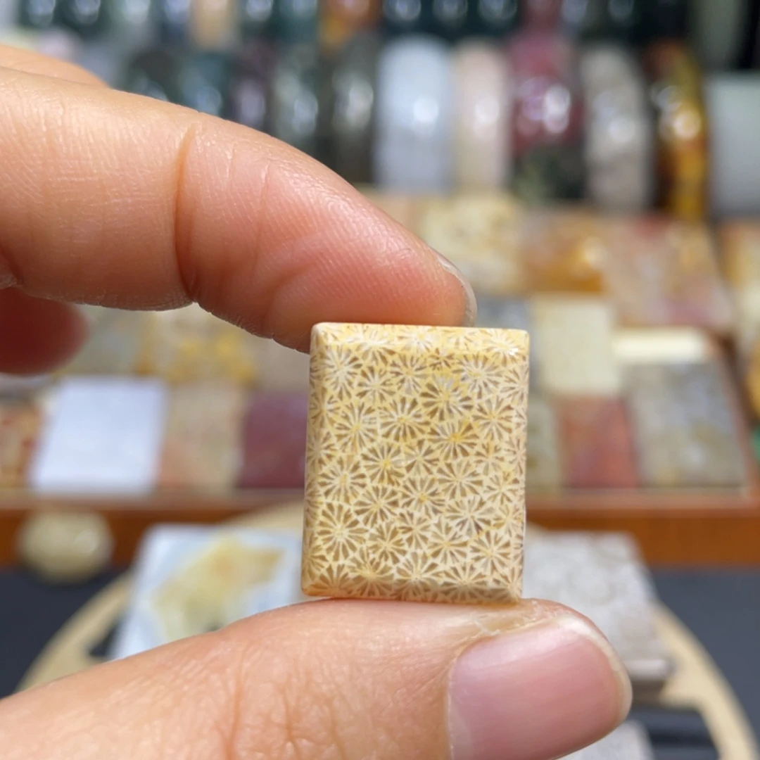 硅化玉未镶嵌颈饰k18