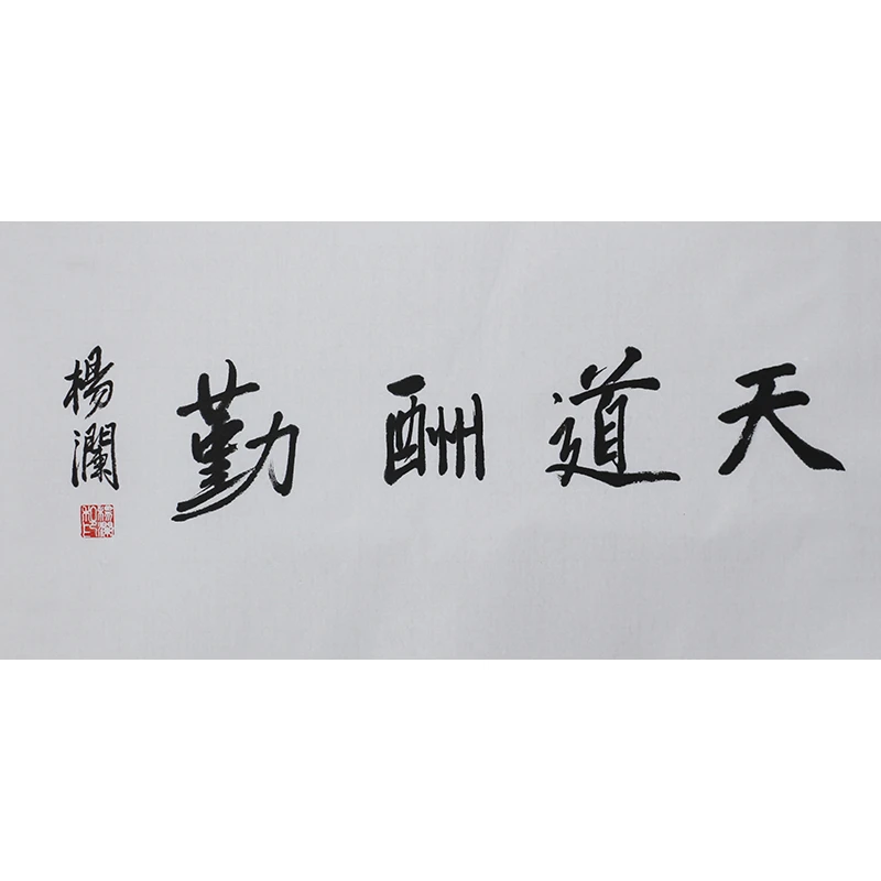  C488 杨澜书法软片 69cm×35cm