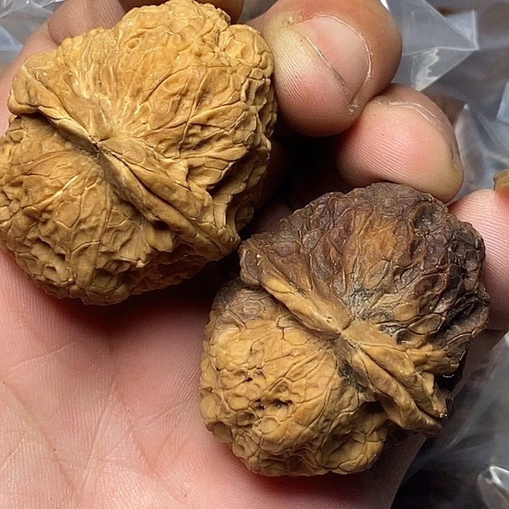 文玩核桃把件云南铁核桃111