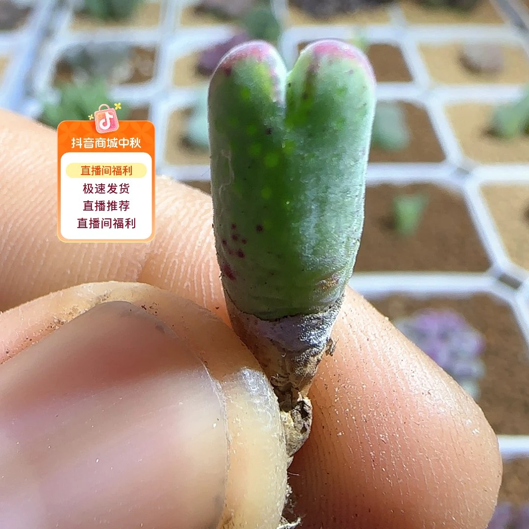 哈哈哈哈哈哈哈53417