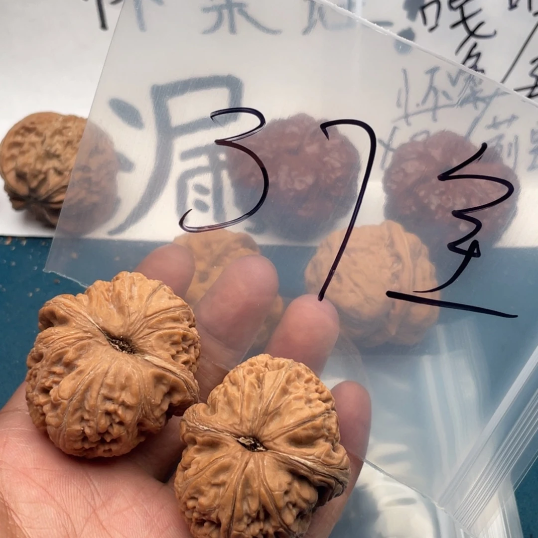 核桃W974749479749469469964