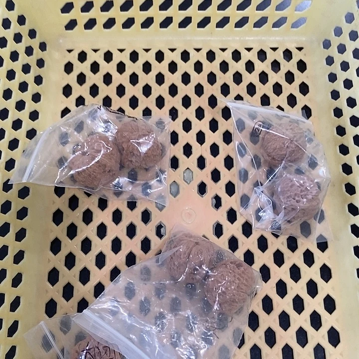 吊坠文玩核桃小团圆团购