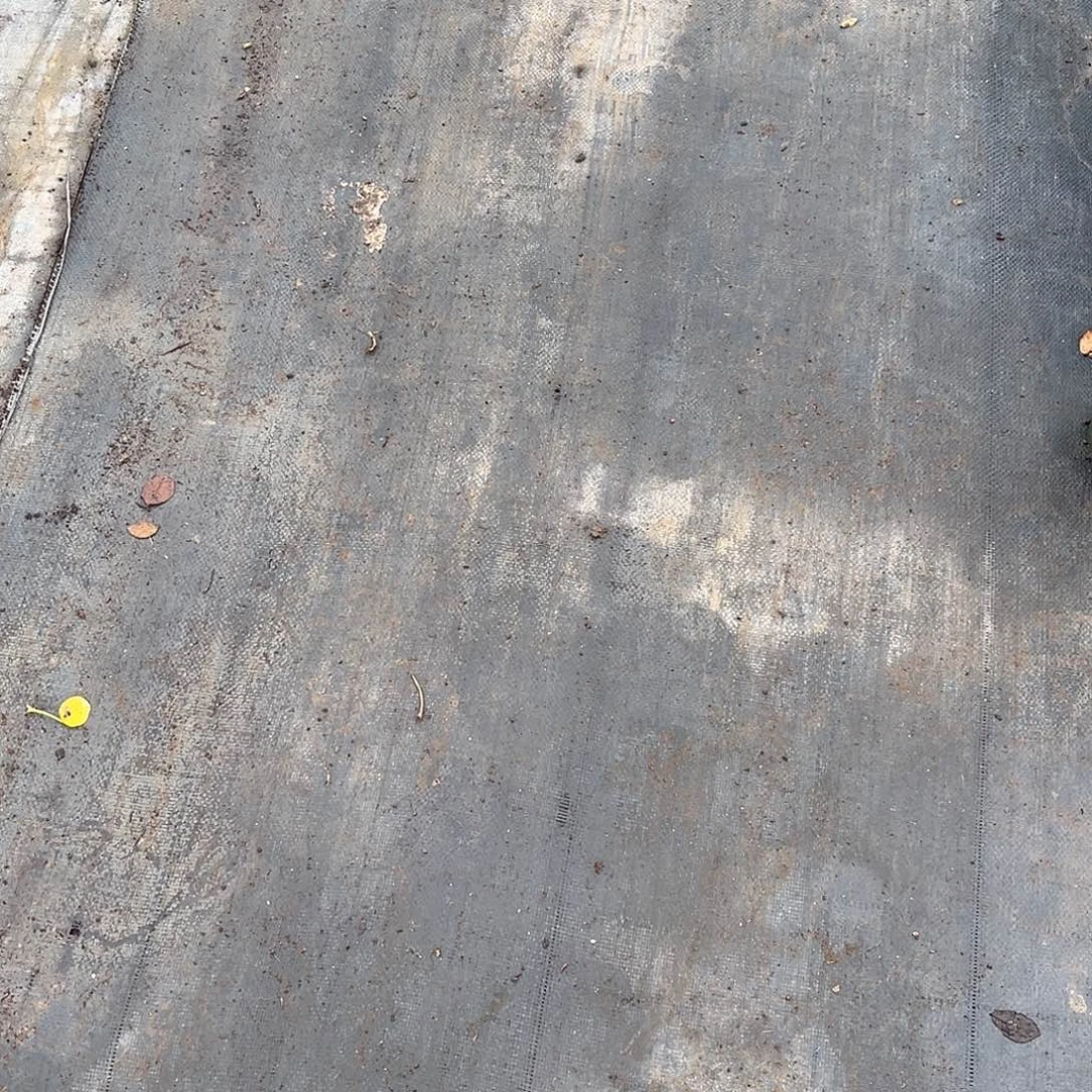 （***）无花朵———dfr20 补差价 3