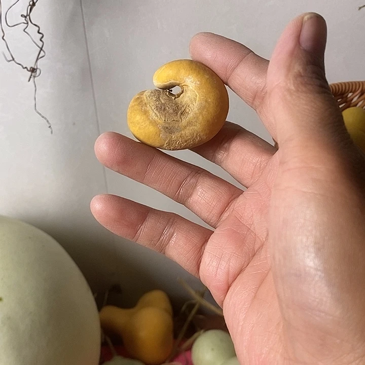 嘟****葫芦手把件摆件葫芦