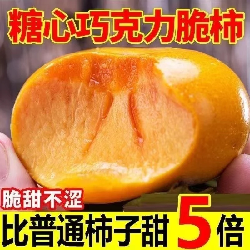 【脆甜不涩】巧克力脆柿子新鲜采摘产地直发应季脆柿子孕妇水果零食
