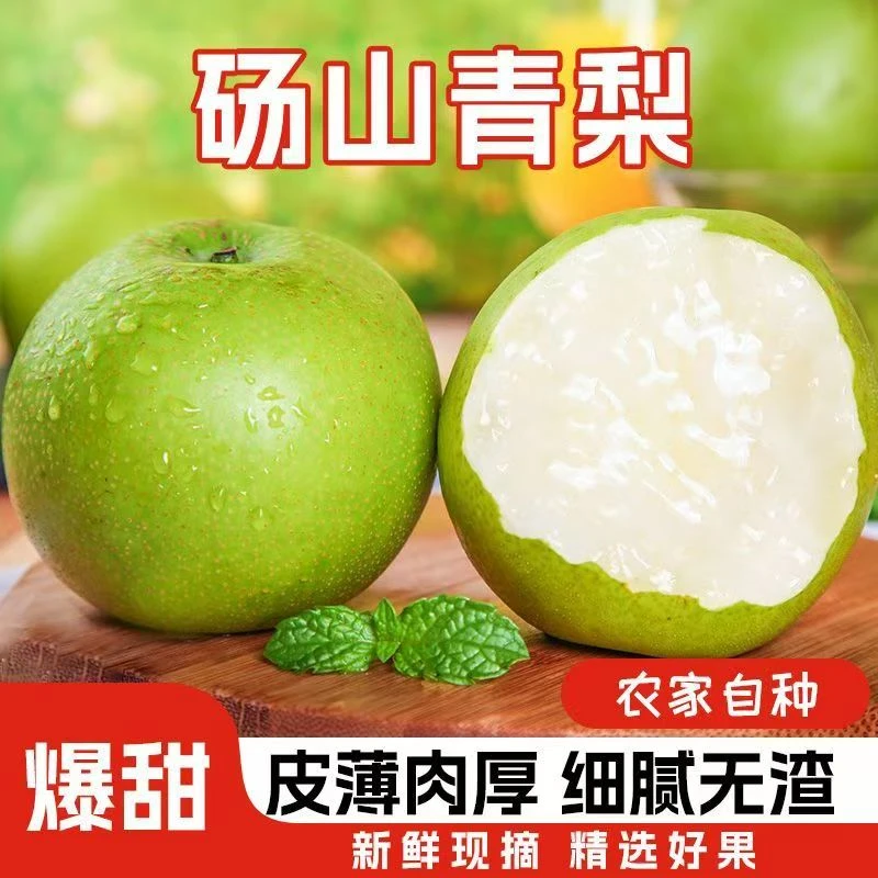 正宗砀山梨子当季水果新鲜青皮青梨皇酥梨整箱应翠冠香梨特级雪梨
