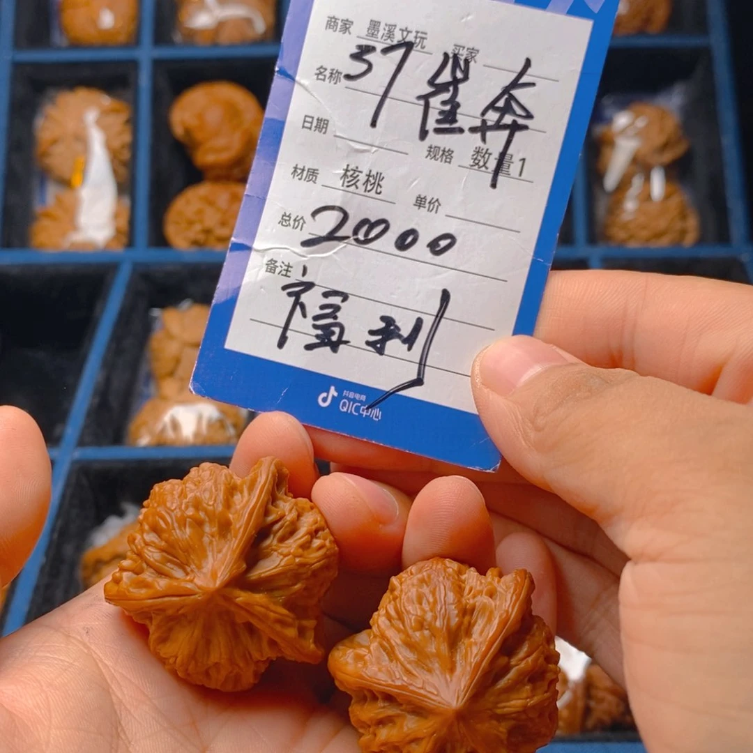 精品核桃37崔凯奔