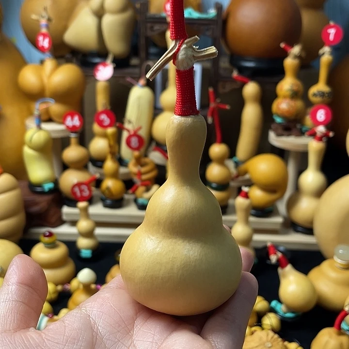 蓝***风葫芦丝老师哦哦不会的就是