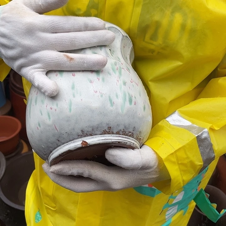 花盆紫砂花盆紫砂花盆紫砂花盆